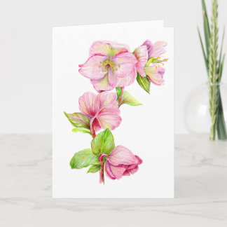 Wenskaart - Roze Helleborus Bloem Kaart