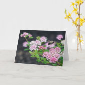 Wenskaart - Roze spirea met bijen Kaart (Gele Bloem)