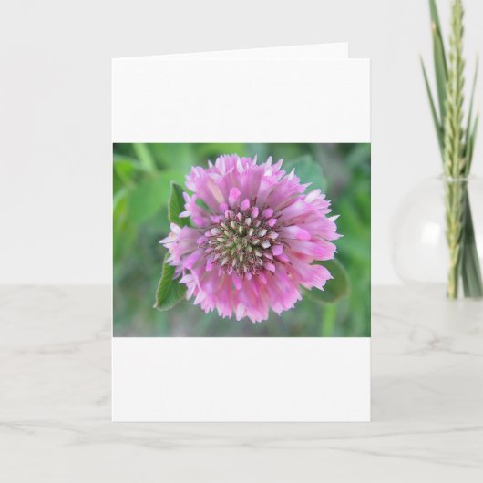 Wenskaart roze wildbloem kaart (Voorkant)