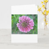 Wenskaart roze wildbloem kaart (Gele Bloem)