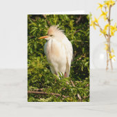 Wenskaart Rundveetprofiel Kaart (Gele Bloem)