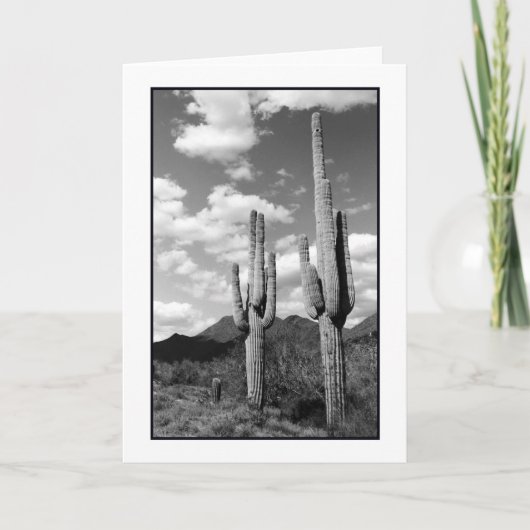 Wenskaart Saguaro Sentinels Kaart (Voorkant)