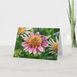 Wenskaart - Schoonheid in de tuin in Portsmouth Kaart