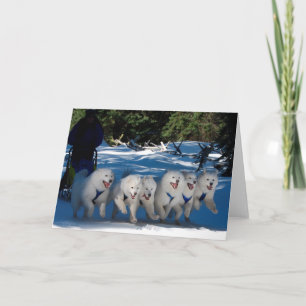 wenskaart "Shadow Fan" Kaart