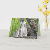 Wenskaart Singing Lemur Kaart (Gele Bloem)