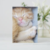 Wenskaart - Slaapkeuten Bedankkaart (Staand voorkant)