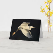 Wenskaart - Sneeuwaigretteluchtparade Kaart (Gele Bloem)