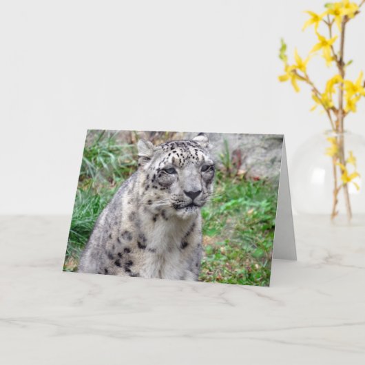 Wenskaart Snow Leopard Kaart (Gele Bloem)