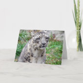 Wenskaart Snow Leopard Kaart (Voorkant)