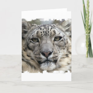 Wenskaart Snow Leopard Kaart
