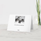 Wenskaart, spatie, met Antiek camera's Kaart (Achterkant)