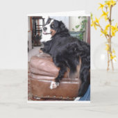 Wenskaart, standaard witte enveloppen inbegrepen kaart (Gele Bloem)