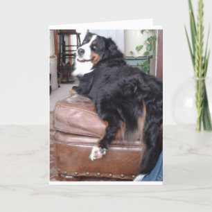 Wenskaart, standaard witte enveloppen inbegrepen kaart