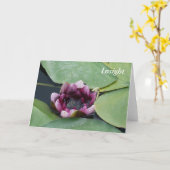 Wenskaart, standaard witte enveloppen inbegrepen kaart (Gele Bloem)