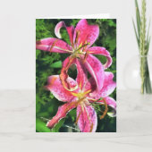 Wenskaart Stargazer Lelies Kaart (Voorkant)