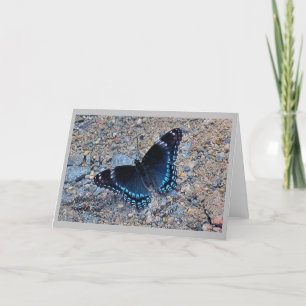 Wenskaart - Swallowtail Butterfly Kaart