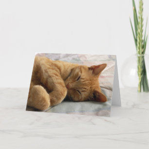 Wenskaart Sweet Dreams Kaart