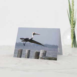 wenskaart "take flight" kaart