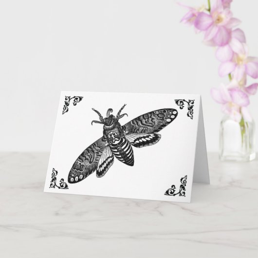 Wenskaart ter illustratie van doodskop Moth  Kaart (Orchidee)