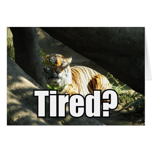 Wenskaart Tiger Catnap (Voorkant Horizontaal)