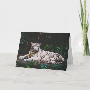Wenskaart Tiger Kaart