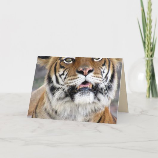 Wenskaart Tiger Kaart (Voorkant)