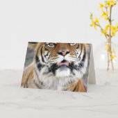 Wenskaart Tiger Kaart (Gele Bloem)
