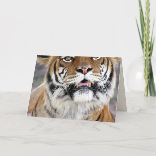Wenskaart Tiger Kaart (Voorkant)