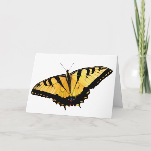 Wenskaart Tiger Swallowtail Kaart (Voorkant)