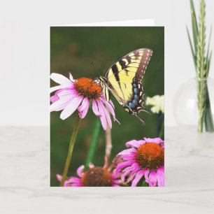Wenskaart Tiger Swallowtail op Coneflower Kaart