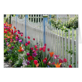 wenskaart tulp tuptang