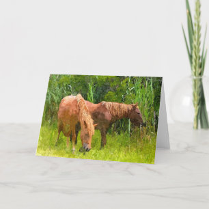 Wenskaart - Twee wilde Ponies in Assateague Kaart
