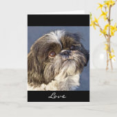 Wenskaart Tzu Puppy - Verse binnenzijde Kaart (Gele Bloem)