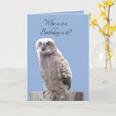 Wenskaart - Uil Verjaardagswensen Kaart (Gele Bloem)