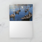 Wenskaart uit de familie Mute Swan Kaart (Binnen)