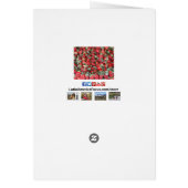 Wenskaart van aardbeivruchten (Achterkant)