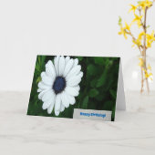 Wenskaart van African Daisy Kaart (Gele Bloem)