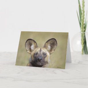 Wenskaart van Afrikaanse Wild Dog Kaart
