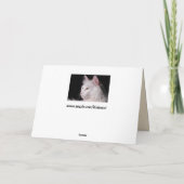 wenskaart van angorakat kaart (Achterkant)