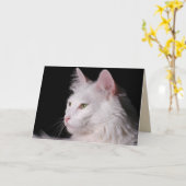 wenskaart van angorakat kaart (Gele Bloem)