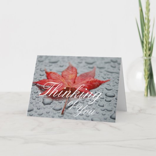 Wenskaart van aple Leaf Kaart (Voorkant)