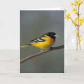 wenskaart van Baltimore Oriole Kaart (Gele Bloem)