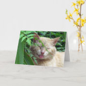 Wenskaart van Beast Kaart (Gele Bloem)
