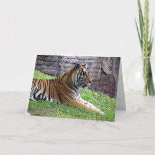 Wenskaart van Bengal Tiger Kaart