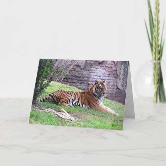 Wenskaart van Bengal Tiger Kaart (Voorkant)
