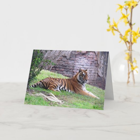 Wenskaart van Bengalen van tijger (9601) Kaart (Gele Bloem)