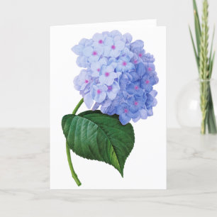 Wenskaart van blauwe hydrangea kaart