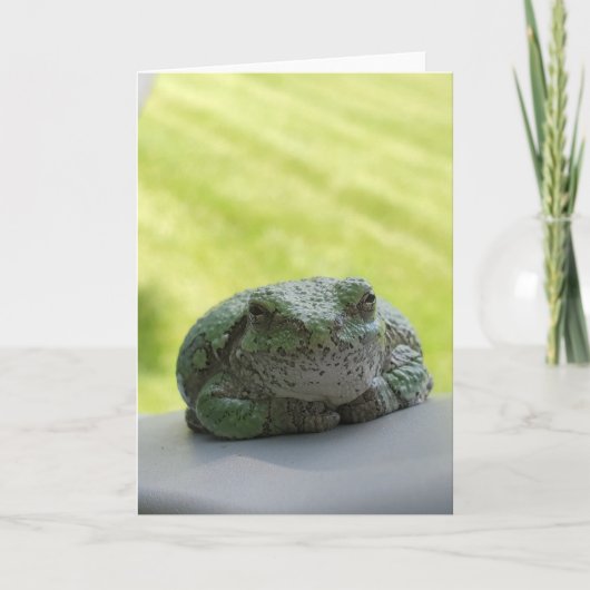 Wenskaart van boomkikker kaart (Voorkant)