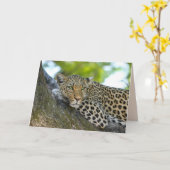 wenskaart van boomluipaard kaart (Gele Bloem)