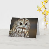 Wenskaart van bruine uil kaart (Gele Bloem)